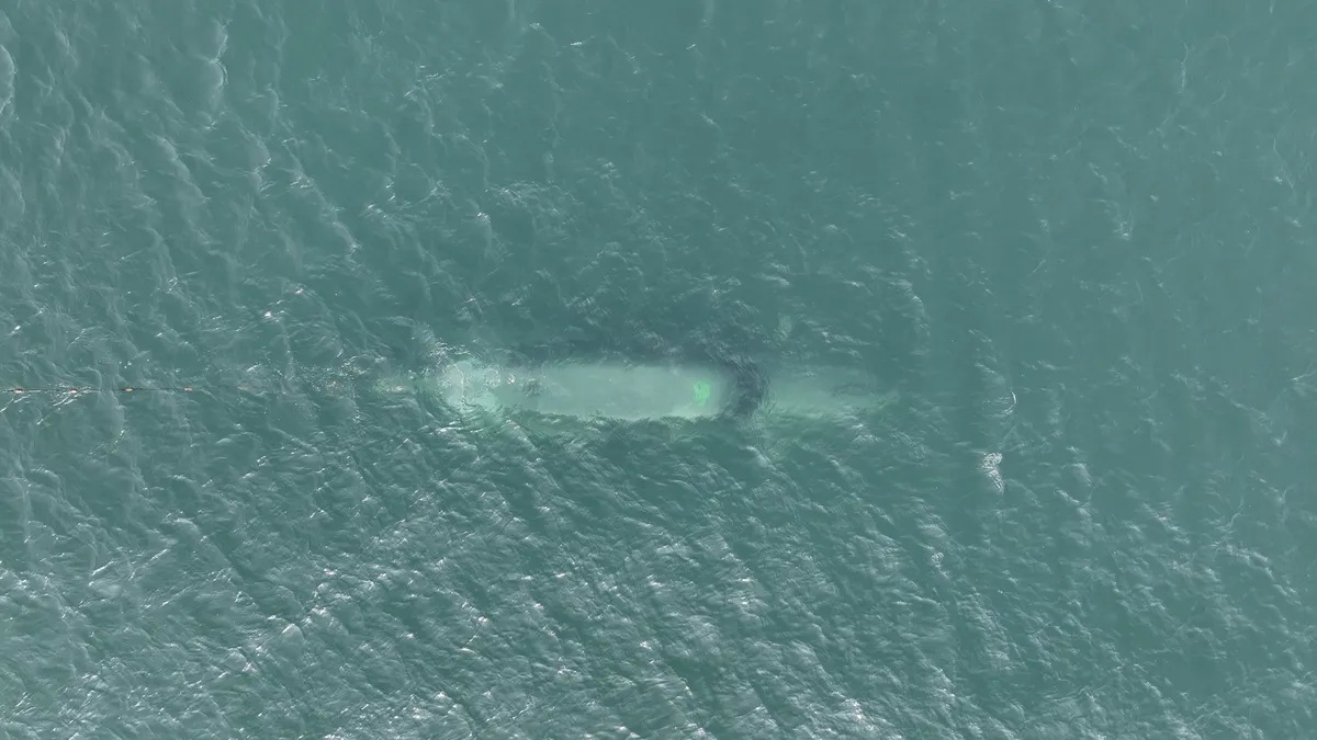 RUSI recommends prototype warfare for Royal Navy adaptability