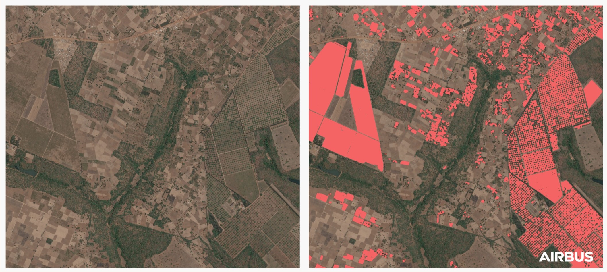 Airbus to support worldwide coffee plantation mapping