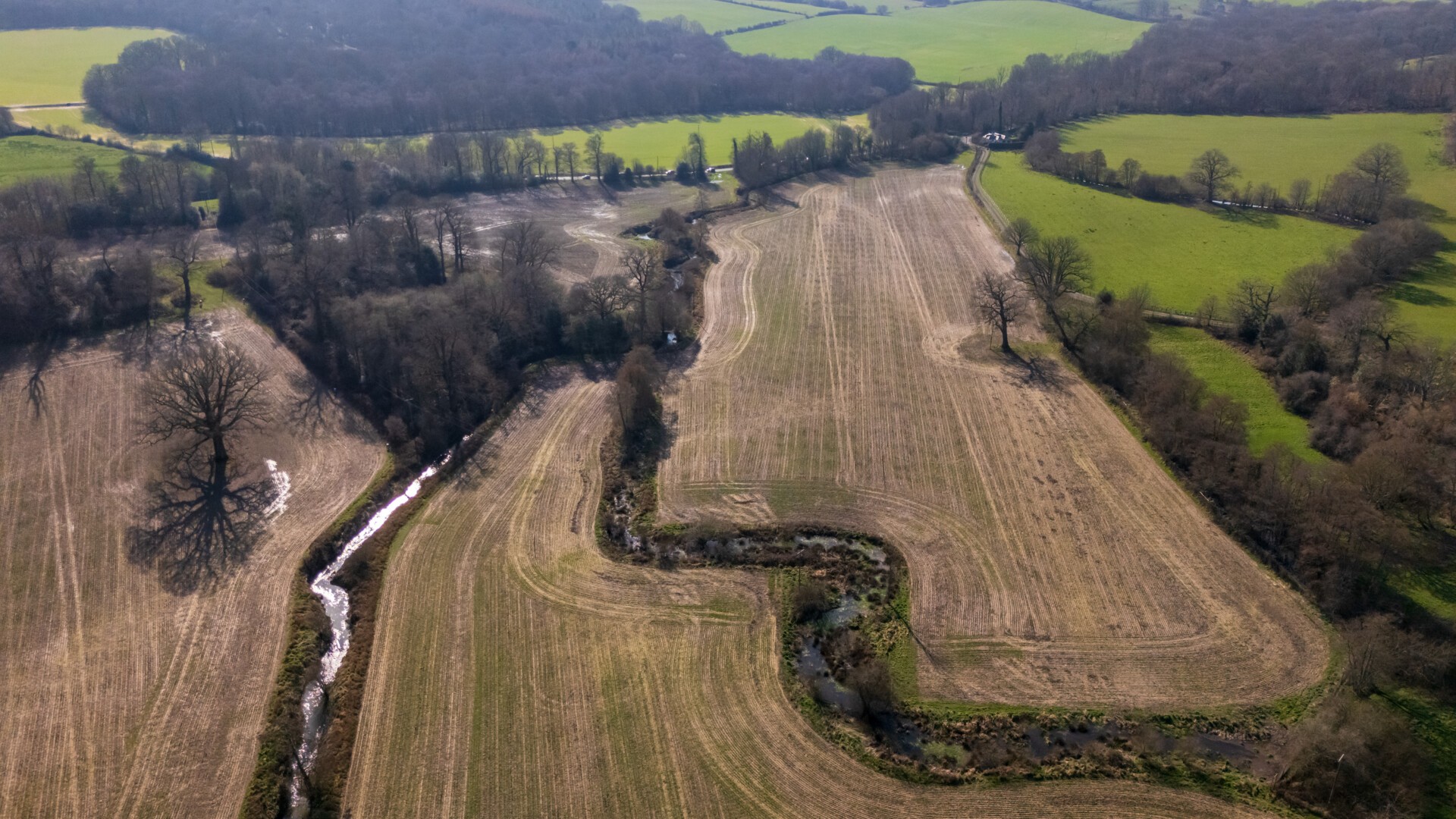 GAL works with two Wildlife Trusts to remove CO2e