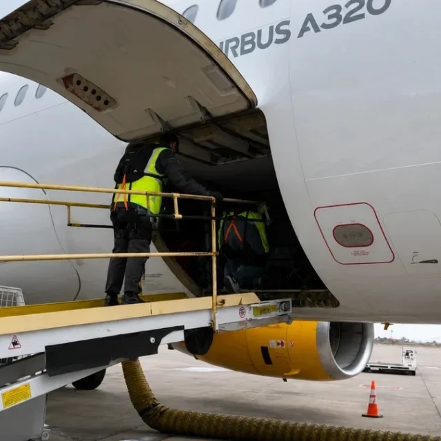 Baggage Handler on Ramp