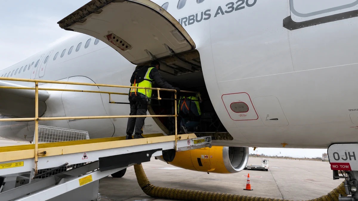 Baggage Handler on Ramp