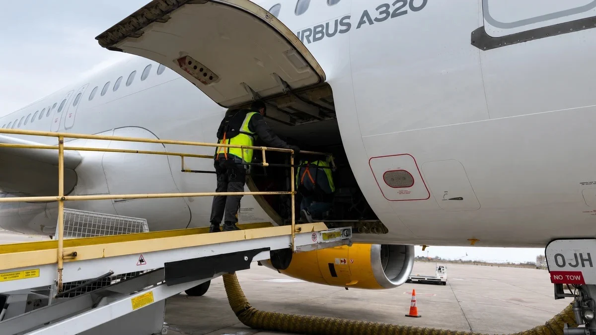 Baggage Handler on Ramp