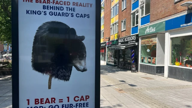 PETA Luke Pollard Plymouth billboard