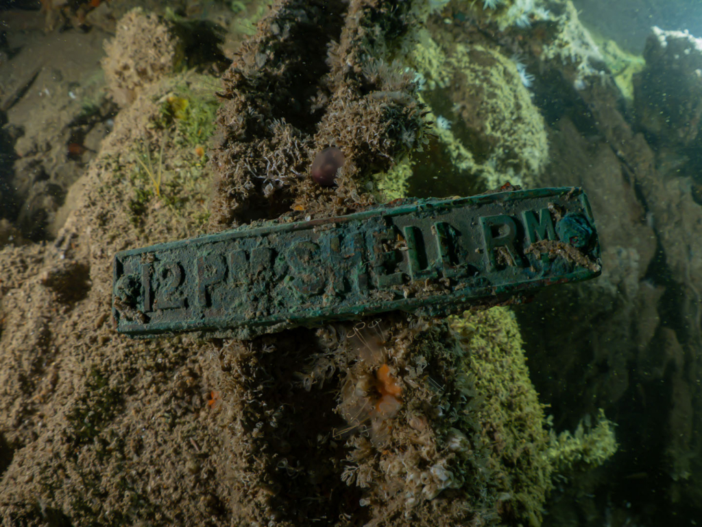 12Lb_Shell Room Sign
