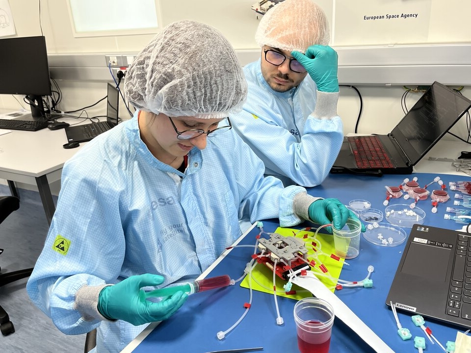 The GraviTE team working on the experiment hydraulic system during their test campaign in the CubeSat Support Facility.