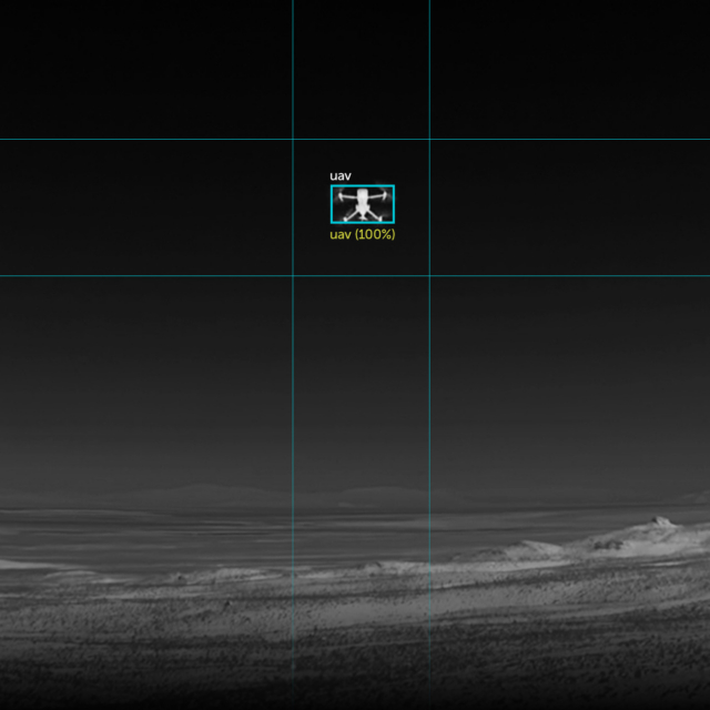 Teledyne FLIR
