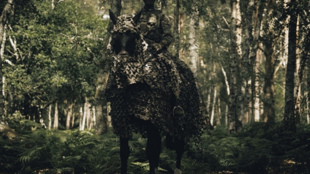 British Army camouflaged horses