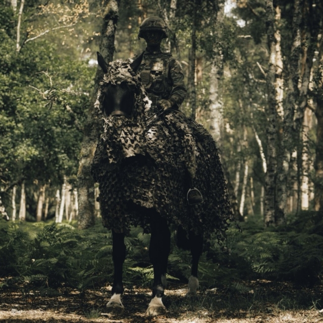 British Army camouflaged horses