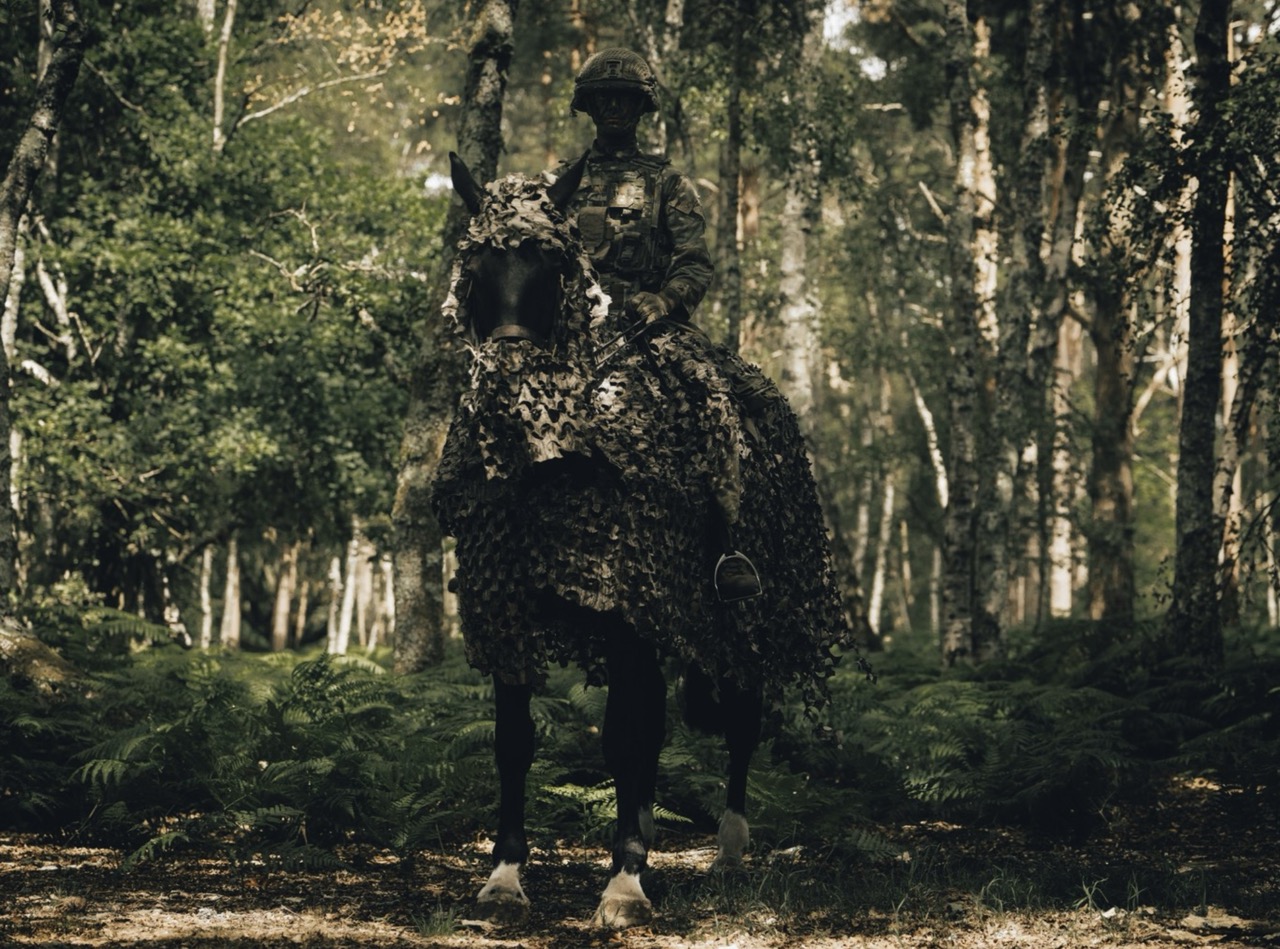 British Army camouflaged horses