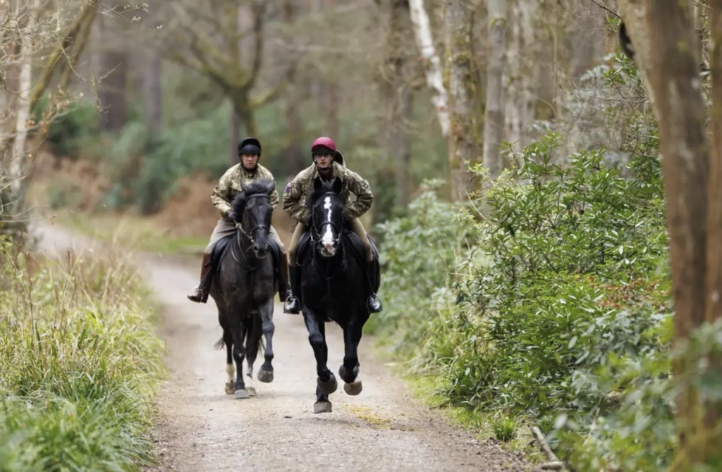 British Army war horse trials