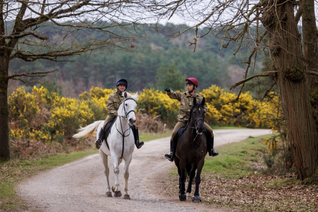 British Army war horse trials