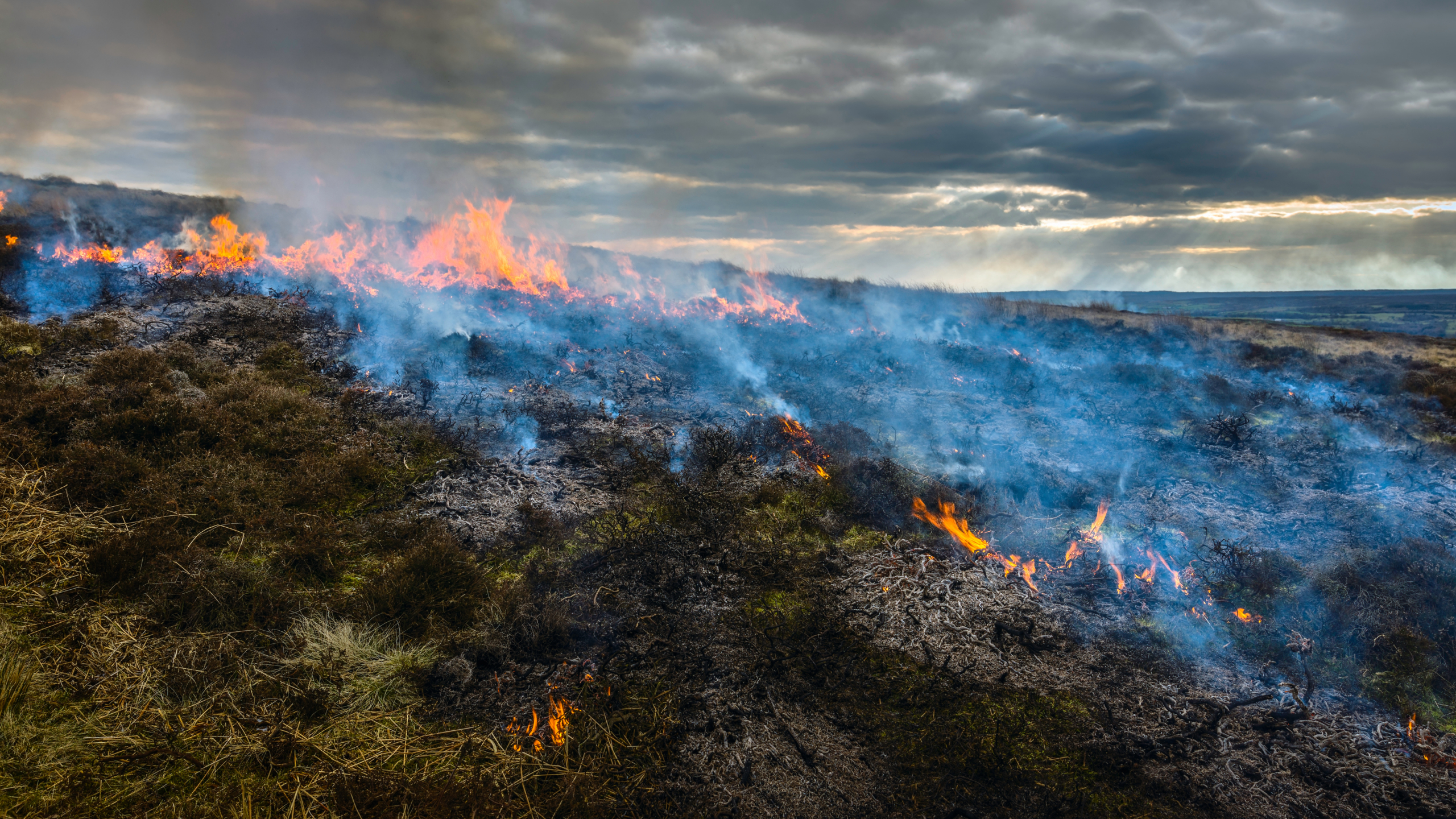 UK wildfire