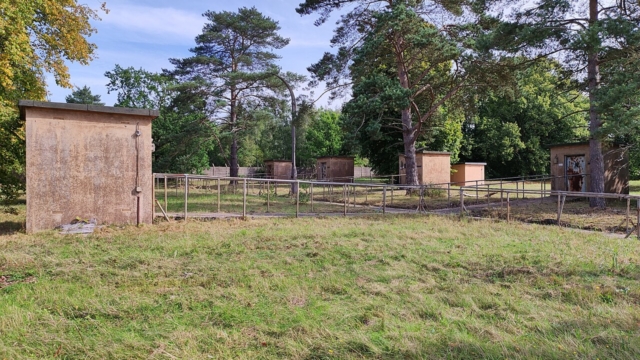 RAF Barnham