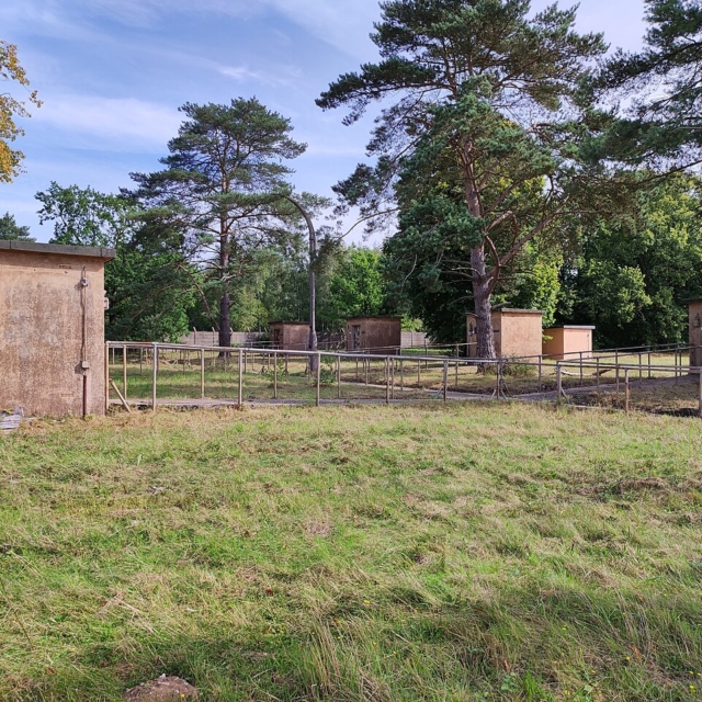 RAF Barnham